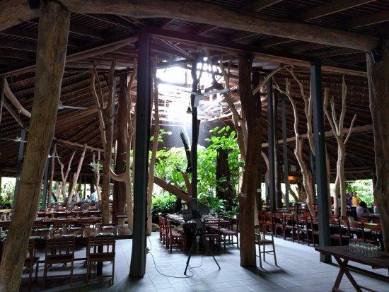 Classic Forest Restaurant